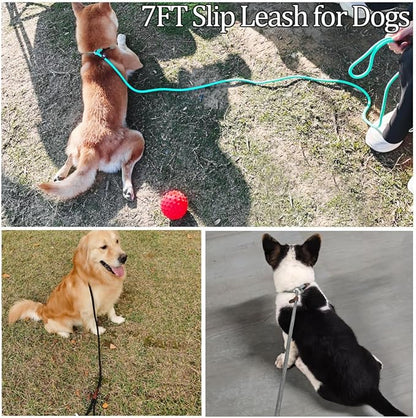 MayPaw Slip Lead Control Leash for Dogs No Pull, 13+ Colors Classic Dog Lead 7 FT Pet Slip Leash, 1/4” Rope Leashes for Small Medium Animals (7ft*1/4", Green)