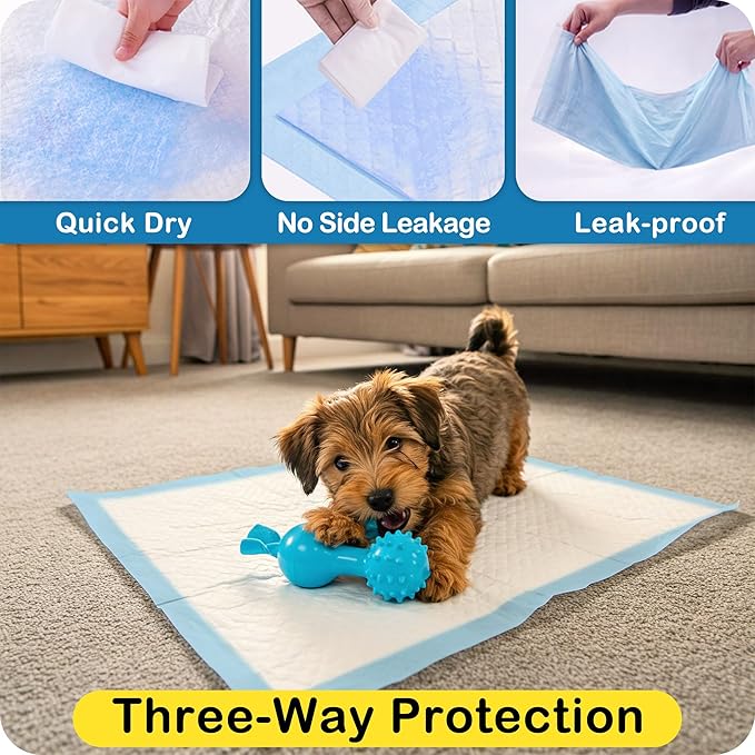 MoMoCo Puppy Pads 23" x 23", 6-Layer Super Absorbent Dog Pee Pads, Leak-Proof Dog Training Pads for Hardwood Floors & Apartments, Flash-Dry Disposable Potty Pads for Puppies & Senior Dogs, 100 Count