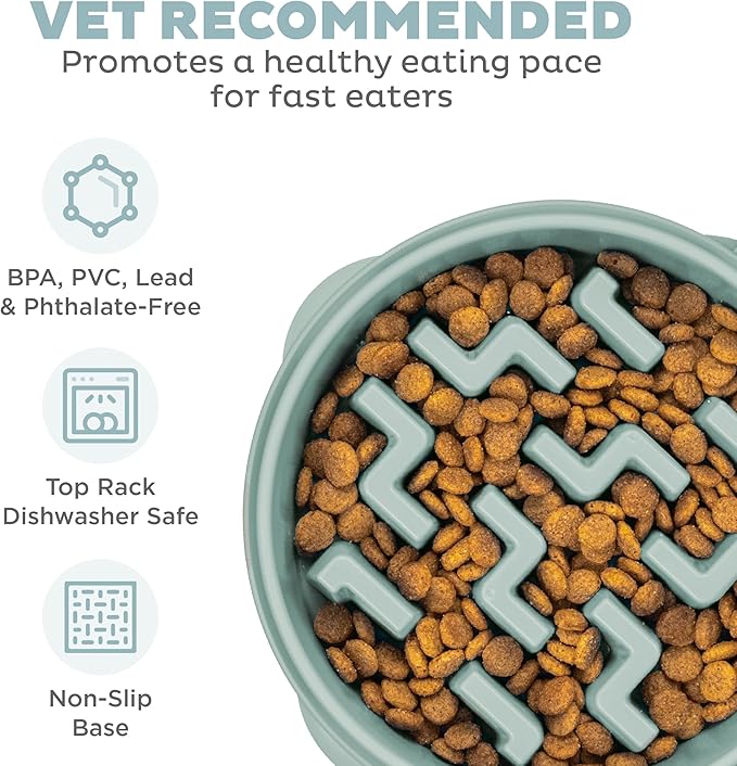 Outward Hound Medium Slow Feeder Bowl, Puzzle Maze for Fast Eaters, Small to Medium Dogs, Helps Prevent Bloat & Aid Digestion, Holds 2 Cups Wet or Dry Food, Non-Slip, Made Without BPA, Sage