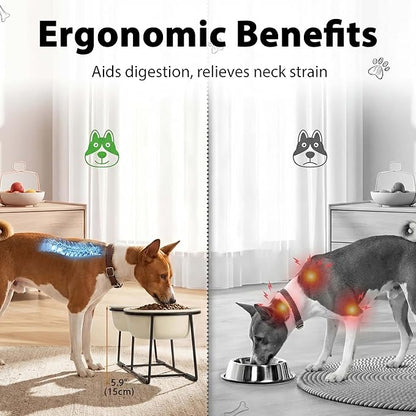 Elevated Ceramic Dog Bowl Set - Double Dishes with Non-Slip Iron Stand - Raised Feeding Station for Food & Water - Ideal for Small and Medium Dogs - 2 × 720ml Capacity - Beige - 15 cm Height