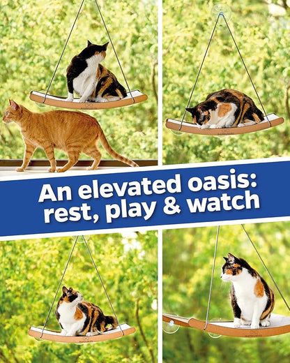 Cat Window Hammock for Large Cats – Strong Suction Cup Cat Window Perch Bed, Durable Eco, Washable Cover, Space Saving Window Seat for Indoor Cats (XL)