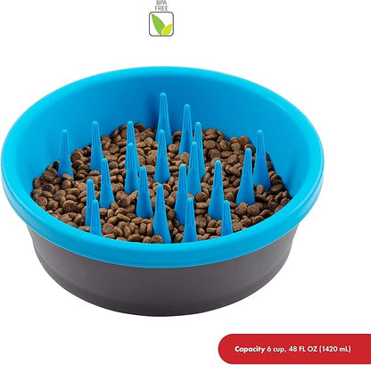 Dexas Slow Feeder Dog Bowl for Healthier Digestion, Teeth and Gums, 6 Cup Capacity, Gray and Blue