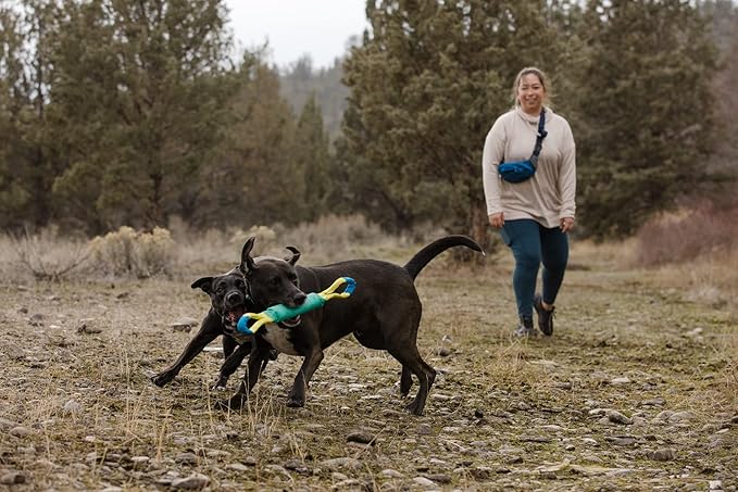 Ruffwear, Pacific Loop Dog Toy, Interactive Tug Toy for Playing and Training, Aurora Teal