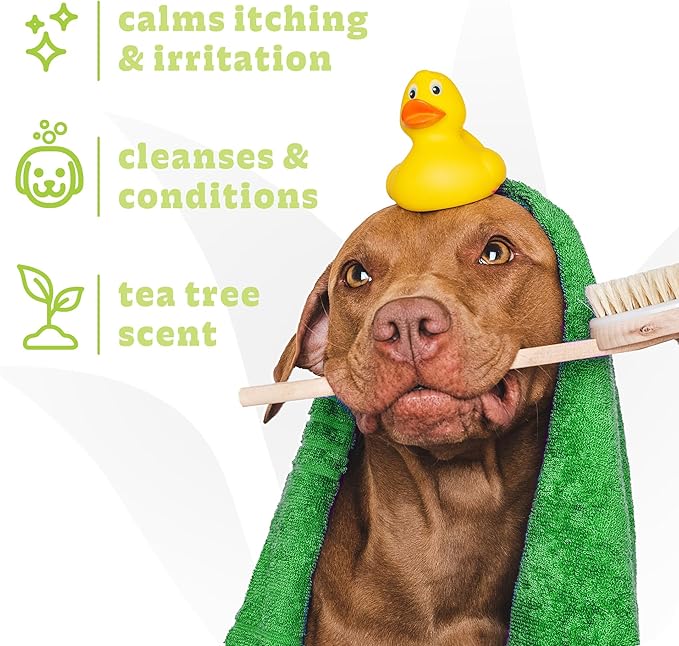 Espree Intense Itch Relief Dog Shampoo & Conditioner, Anti Itch Shampoo for Dogs, Soothes Dog Irritated & Itchy Skin, Plant-Based Moisturizing Formula for Sensitive Skin Relief, Sulfate-Free, Gallon
