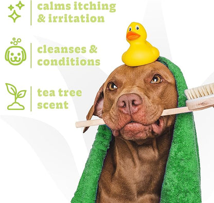Espree Intense Itch Relief Dog Shampoo & Conditioner, Anti Itch Shampoo for Dogs, Soothes Dog Irritated & Itchy Skin, Plant-Based Moisturizing Formula for Sensitive Skin Relief, Sulfate-Free, Gallon