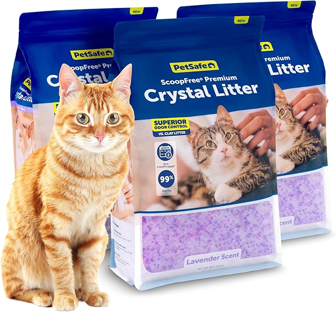 PetSafe ScoopFree Premium Crystal Cat Litter - Ultra-Absorbent Silica Universal Litterbox Crystals - Non-Clumping Odor Control - Lavender Scent - 8 lb Bag - 3 Pack