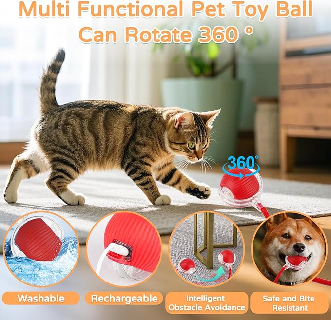2025 New 2Pack Cat Ball Kitten Toys for Indoor Interactive Kitty Ball Toy Speedy Tail 360° Automatic Rolling for Dog, Cat(Red Grey)