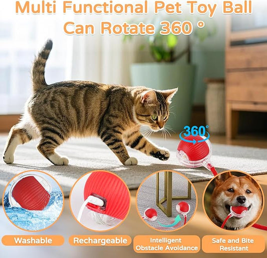 2025 New 2Pack Cat Ball Kitten Toys for Indoor Interactive Kitty Ball Toy Speedy Tail 360° Automatic Rolling for Dog, Cat(Red Grey)
