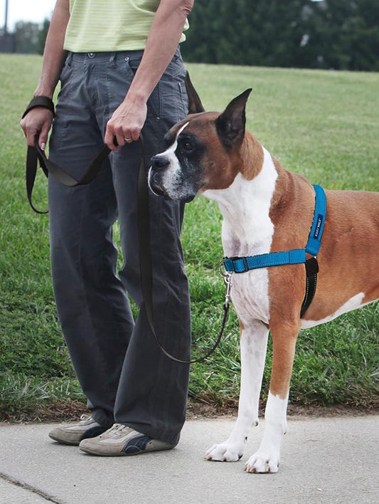 PetSafe Easy Walk Deluxe Dog Harness, No Pull Dog Harness – Perfect for Leash & Harness Training – Stops Pets from Pulling and Choking on Walks – Medium/Large, Ocean