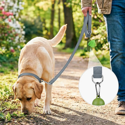 Joytale Dog Leash, 5 FT Double-Sided Reflective, Padded Handle Nylon Heavy Duty Leashes for Medium & Large Dogs Walking, Grey