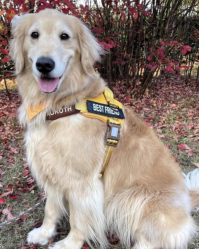 AUROTH Dog Harness and Leash Set, Soft Padded Service Dog Vest with 5.25FT Dog Leash, No Choke, Easy On Pet Vest, Adjustable Reflective No Pull Dog Harness for Large Dogs, Easy Walking and Training