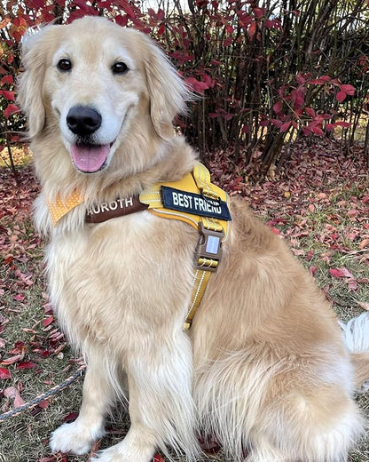 AUROTH Dog Harness and Leash Set, Soft Padded Service Dog Vest with 5.25FT Dog Leash, No Choke, Easy On Pet Vest, Adjustable Reflective No Pull Dog Harness for Large Dogs, Easy Walking and Training