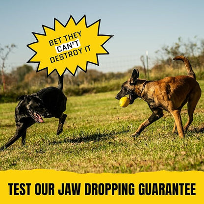 Virtually Indestructible Wobble Chew Toy - Lifetime Replacement - Tough, Durable Ball for Aggressive Chewers - Safe Non-Toxic Natural Rubber - Chew, Treats, Fetch - Med/Large Breed - 5"x4"