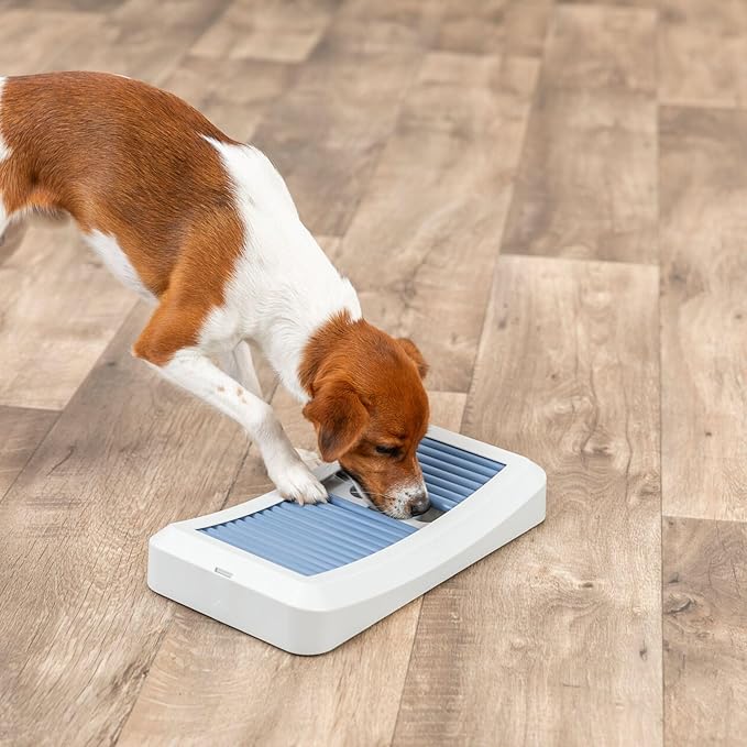Trixie Rod Board Dog Activity Interactive Toy, Level 1 Food Puzzle Game, Brain Teasing Treat Dispenser, IQ and Mental Development Toy for Smart Dogs, Enrichment Toy for Boredom Busting