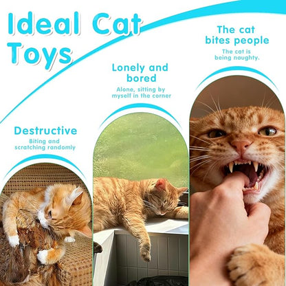 Walfront Cat Toys Interactive Wand, Sky Blue, Realistic Insect Teaser with Telescopic Rod, Cat Feather Wand for Indoor Play, Multi Cat Homes Kittens and Adult Cats, Happy Play and Relaxing Fun