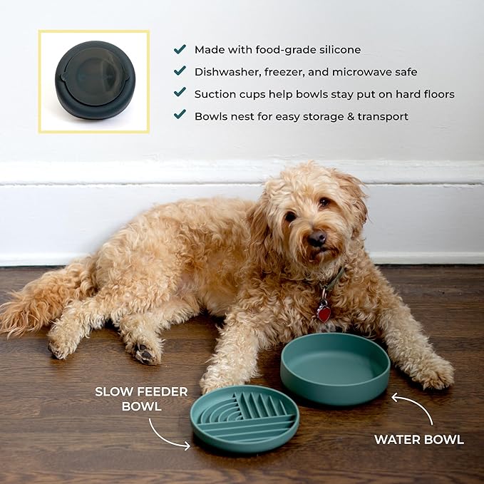 Slow-Feeder & Water Bowl Set by The Dog Tale | Food-Grade Silicone Dog Bowls, BPA-Free, Dishwasher Safe, Freezer Safe (Midnight)