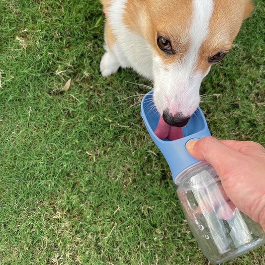 WePet Portable Dog Water Bottle, 25 OZ, Leak Proof Puppy Water Dispenser with Drinking Feeder for Pets Outdoor Walking, Hiking, Travel, Food Grade Plastic