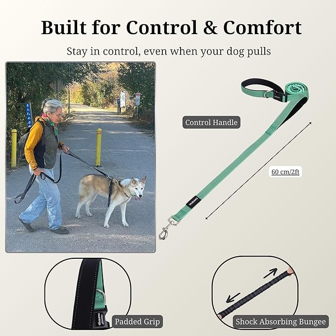 8FT-10FT Hands Free Dog Leash - Adjustable Waist/Crossbody 2-in-1 Belt with Shock-Absorbing, Traffic Handle & Reflective for Hiking, Canicross & Active Lifestyles (Mint Green)
