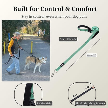 8FT-10FT Hands Free Dog Leash - Adjustable Waist/Crossbody 2-in-1 Belt with Shock-Absorbing, Traffic Handle & Reflective for Hiking, Canicross & Active Lifestyles (Mint Green)