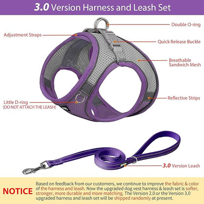 AIITLE Small Harness for Puppy with A Leash - Dog Vest Harness with Super Breathable Mesh, Reflective No-Pull Pet Harness for Outdoor Walking, Running for Small Dogs, Cats Purple XXS