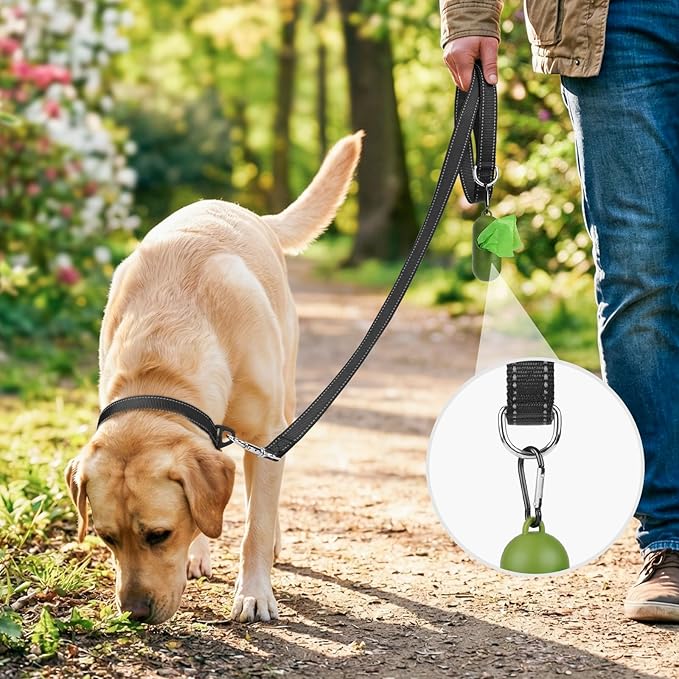 Joytale Dog Leash, 4 FT Double-Sided Reflective, Padded Handle Nylon Heavy Duty Leashes for Medium & Large Dogs Walking, Black