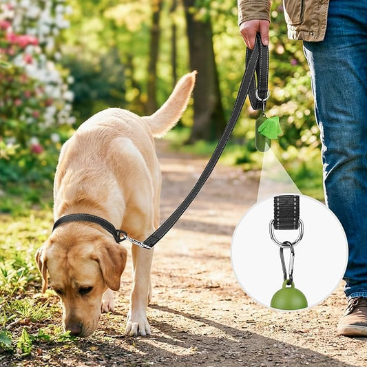 Joytale Dog Leash, 4 FT Double-Sided Reflective, Padded Handle Nylon Heavy Duty Leashes for Small Dogs Walking, Black