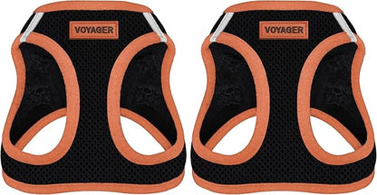 Voyager Step-in Air Dog Harness - All Weather Mesh Step in Vest Harness for Small and Medium Dogs by Best Pet Supplies - Orange Trim, M (Pack of 2)