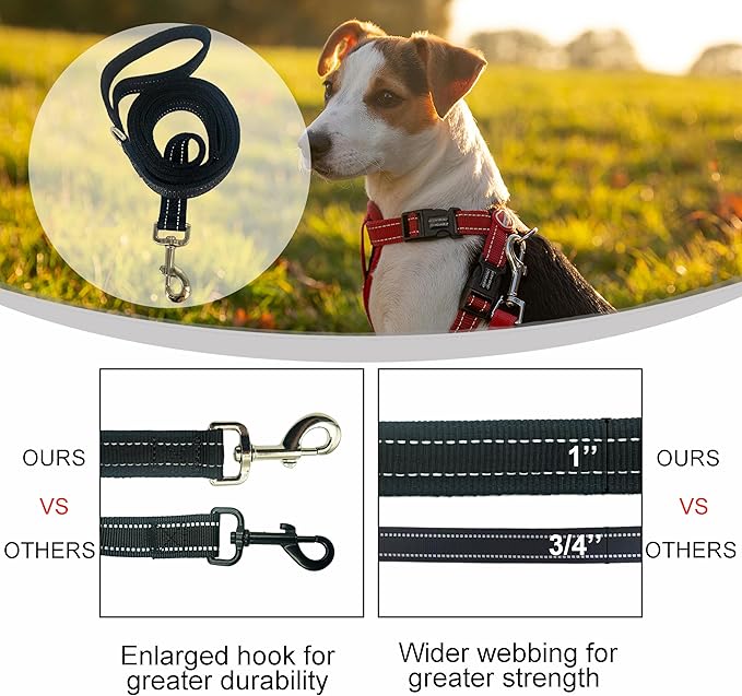 Dual Padded Handle Walking And Training Standard Leashes For Large Dogs With Reflective Stitching,360° Rotatable Heavy Duty Metal Buckle,D-Ring,Durable Nylon,6Ft Long For Big Dogs Over 70 Pounds Black