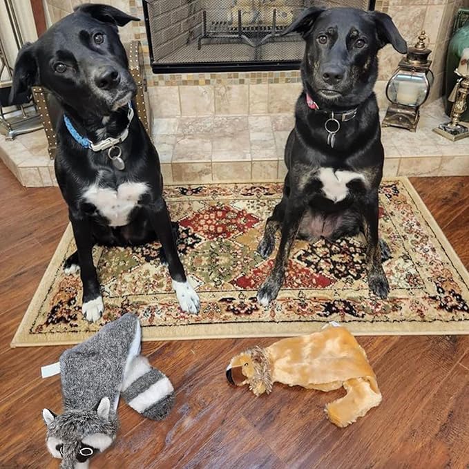 Best Pet Supplies Squeaky Dog Toys with Soft Durable Fabric for Small, Medium and Large Pets Interactive Toy for Indoor Play, Supports Active Biting and Play - Fox, Raccoon, Large