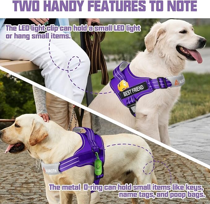 AUROTH Dog Harness and Leash Set, Soft Padded Service Dog Vest with 5.25FT Dog Leash, No Choke, Easy On Pet Vest, Adjustable Reflective No Pull Dog Harness for Large Dogs, Easy Walking and Training