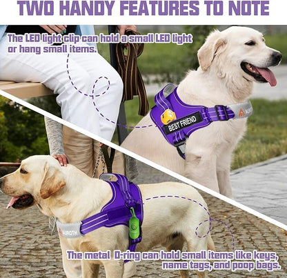 AUROTH Dog Harness and Leash Set, Soft Padded Service Dog Vest with 5.25FT Dog Leash, No Choke, Easy On Pet Vest, Adjustable Reflective No Pull Dog Harness for Large Dogs, Easy Walking and Training