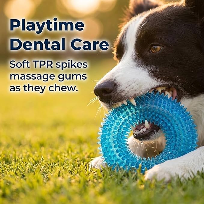 ADUCK Dog Squeaky Chew Toys for Aggressive Chewers, Small Medium Large Dogs Teeth Cleaning Soft Natural Rubber Float Toy for Indoor Outdoor Water Pool, Donut Ring Design 4.92 inch, Crystal Blue