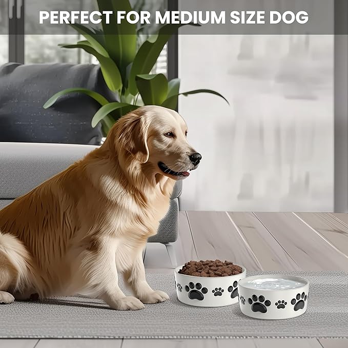Ceramic Dog Bowls for Medium Size Dogs - 6.5'' Round × 2.5 Tall Dog Food & Water Bowl Set of 2 - Medium Ceramic Bowl with Anti-Slip Rings - Food and Water Bowls with 3 Cups Capacity