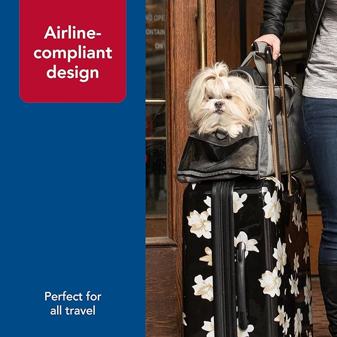 Coastal Pet Bergan Comfort Carrier - Breathable Travel Carrier for Dogs & Cats - Heather Grey, 16" x 8" x 11"