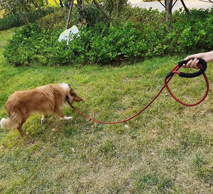 MayPaw 6FT Rope Dog Leash, Soft Padded Handle Thick Nylon Pet Leash, Large Medium Dogs Walking Training Leashes (red Black, 1/2" * 6')