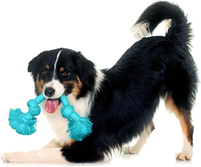 Playology Dri Tech Rope Medium Chew Toy, Peanut Butter & Beef, 2-Pack