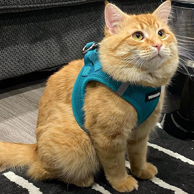 Best Pet Supplies Voyager Step-in Air Harness - All Weather Mesh, Reflective, No Pull Harness for Dogs, Cats - Secure with Hook & Loop Fastener, Buckle, Double D-Rings - Turquoise, XS
