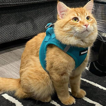 Best Pet Supplies Voyager Step-in Air Harness - All Weather Mesh, Reflective, No Pull Harness for Dogs, Cats - Secure with Hook & Loop Fastener, Buckle, Double D-Rings - Turquoise, XS