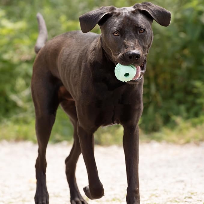 Chew King by Mammoth Dental Dog Toy Collection, Fetch Ball Clinically Proven to Remove Plaque