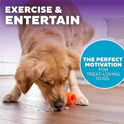 Outward Hound by Planet Dog Foodies Carrot Treat-Dispensing Dog Chew Toy, Orange