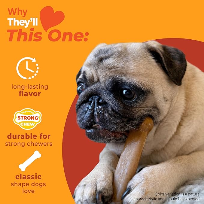 Nylabone Strong Chew Original Bone Dog Toy Made with Real Chicken, Durable Chew Toys for Aggressive Chewers, Long Lasting Dog Bone, Keeps Dogs Busy, Small Breeds - Up to 25 lbs