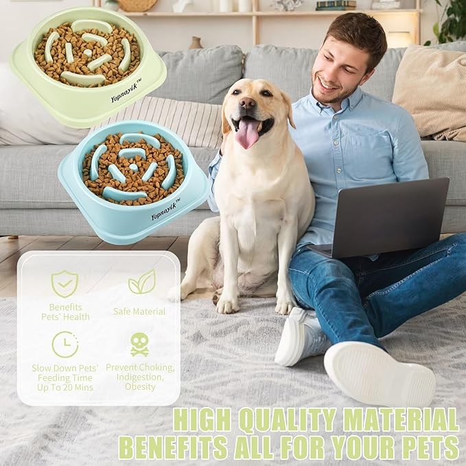 2 Pack Slow Feeder Dog Bowls for Healthy Eating, Non-Slip and Anti-Choking Design, Reduces Bloating & Overeating for Medium Dogs and Cats, Easy to Clean
