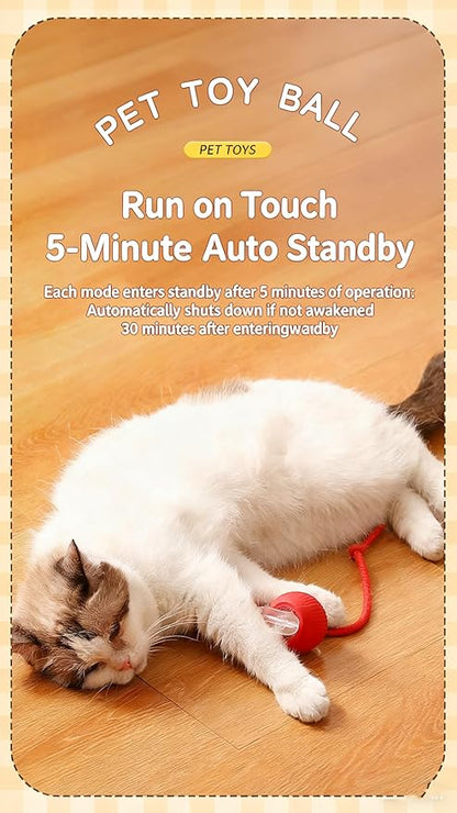 RightBliss Automatic Interactive Cat Dog Toy with Elastic Tail: Chirping Sound, Smart Obstacle Avoidance for Indoor Cats & Kittens (Red Ball with Feather Tail)
