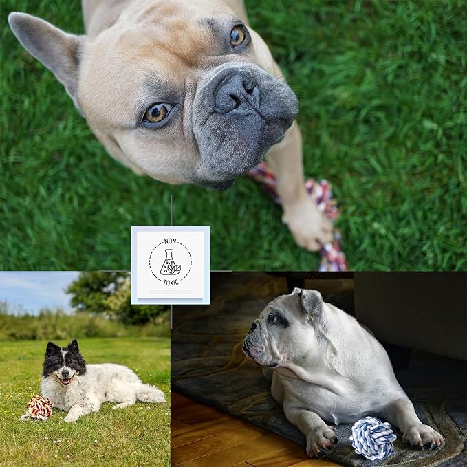 Small Dog Rope Toys, 15 Pack Puppy Rope Toy Set for Small Breeds 0-22 lbs, Various Tug Toys for Teething, Entertainment & Interaction