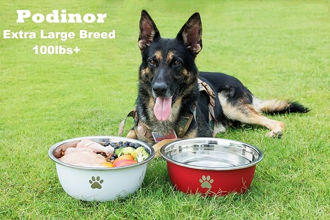 Large Dog Water Bowl 2 Pack, 1.3 Gallons 170oz Stainless Steel Extra Large Dog Food Bowl for Big Giant Dogs, White