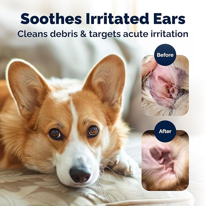 Vetnique Oticbliss Advanced Strength Dog Ear Infection Treatment Flush, Antiseptic Cat & Dog Ear Cleaner Solution Medicated with Chlorhexidine & Ketoconazole Helps with Ear Yeast (6oz Flush)