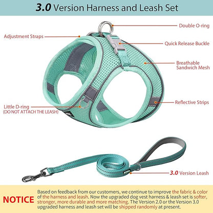 AIITLE Dog Harness, No-Pull Cat Harness with a Leash, Adjustable Reflective Dog Vest, Cat Harness Escape Proof, Outdoor Walking, Running for Extra Small Dogs and House Cats Pure Turquoise XXXS