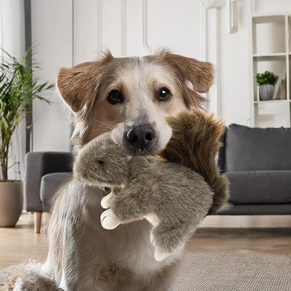 Squirrel Dog Toy w/ Squeaker | Plush Squirrels Dogs Toys | Stuffed Squeaky Squirrel Toy for Pets | Realistic Animal Dogs Toys | Squeaky Squirrels | Small/Medium Breed | Multicolor | 6"