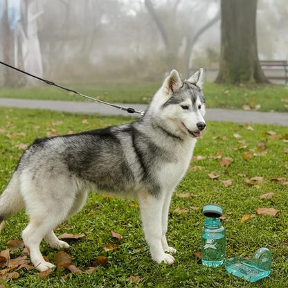 OllyDog OllyBottle, Dog Water Bottle with Detachable Bowl, No Spill Travel Bottle for Dogs, Wide Drinking Cup, BPA-Free Tritan, Easy Clean, Convenient for Walking & Hiking (600ML, Aqua Blue)