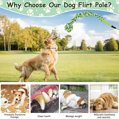 Flirt Pole for Dogs Heavy Duty, Interactive Chase & Tug of War Teaser Wand with Detachable Replacement Knot Ball and Rope Chewing Toys Flirt Stick for Small Medium Large Dogs Exercise & Training